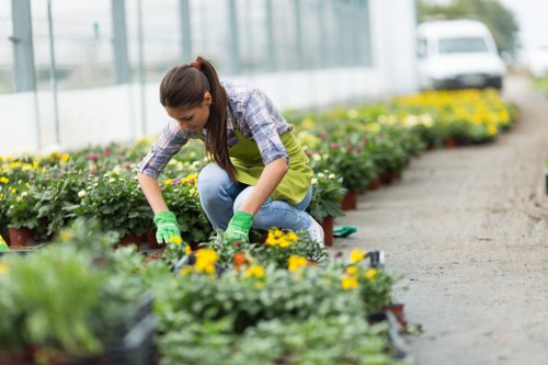 Landscapers sorting recyclable garden waste in Catford