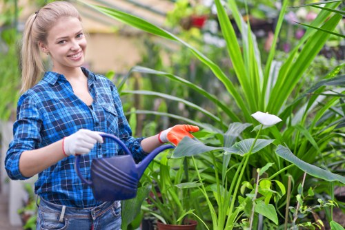 Cookies and website settings for Landscapers Catford