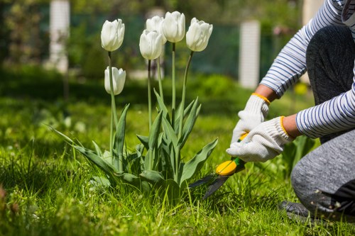 Landscapers in Catford planning a garden design