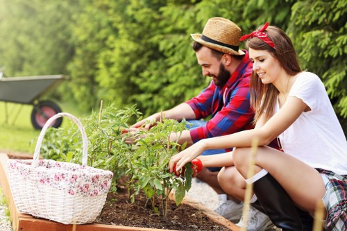 Lawn care in Catford with healthy grass and tidy garden borders