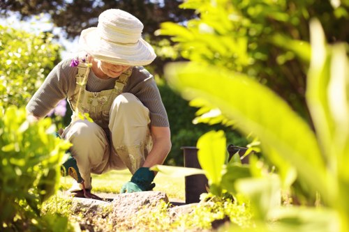 Seasonal lawn maintenance in Catford