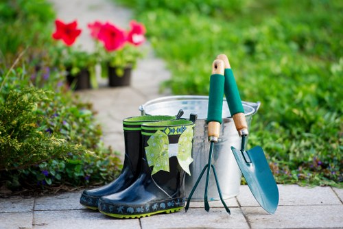 Neatly trimmed residential lawn in Catford