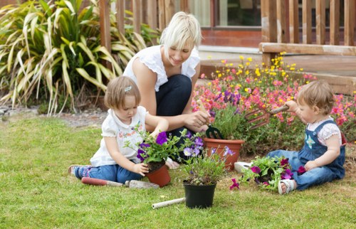Healthy green lawn after regular mowing