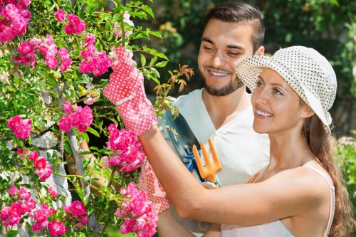 Seasonal lawn care in Catford with mowing and feeding routines