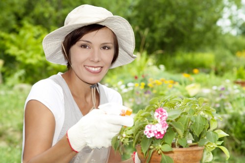 Beautiful garden planting services in Catford with flowers and greenery