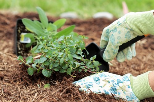 Risk assessment process for landscaping rubbish removal in Catford