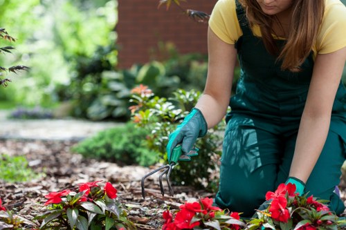 Seasonal planting scheme for landscape gardening in Catford