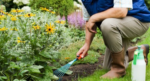 Seasonal hedge trimming work in a Catford garden