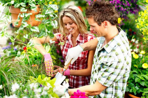 Professional hedge maintenance tools used in Catford