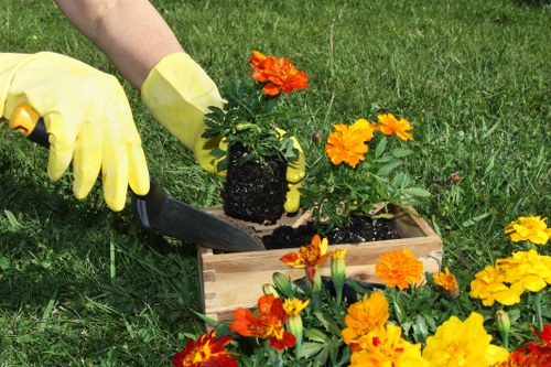 Trained landscaping staff handling rubbish removal in Catford