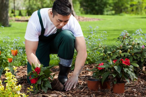 Seasonal planting and shrub installation in a Catford outdoor space