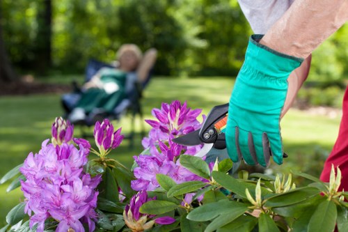 Accessible landscaping services information for Catford