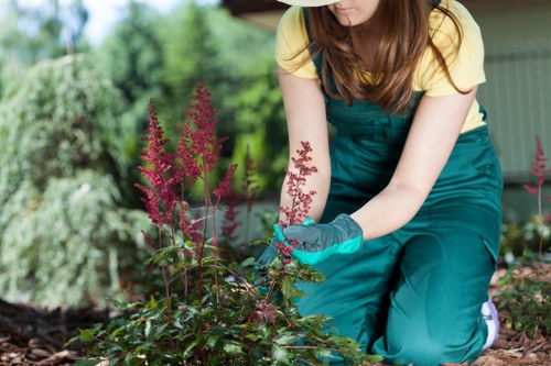 Site inspection during a landscaping complaint process