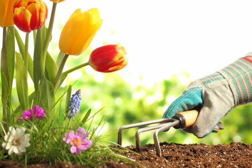 Sustainable planting design and maintenance in Catford