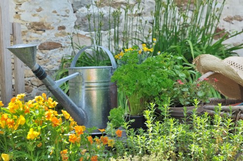 Planning a Catford garden renovation with layout ideas and materials