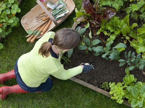 Stylish landscape gardening in Catford with hard landscaping features
