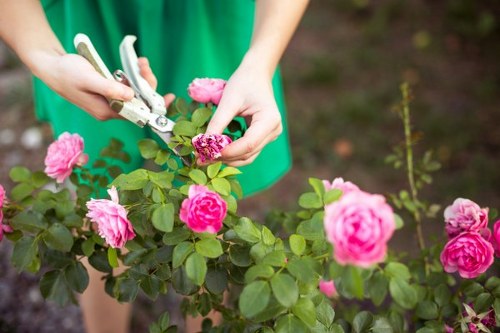 SSL encrypted Landscapers Catford payment process shown on a secure digital screen