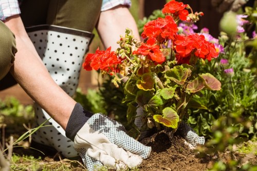 Low-maintenance landscaping in Catford with gravel, shrubs, and edging
