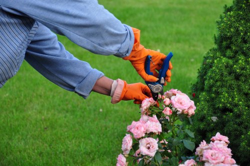 High-quality Catford landscape design with structured planting and surfaces