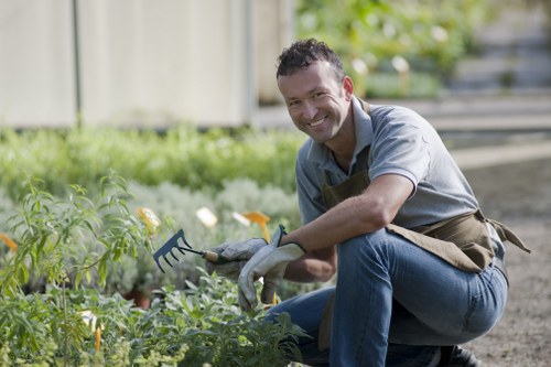 Local planting services in Catford for homes and commercial properties